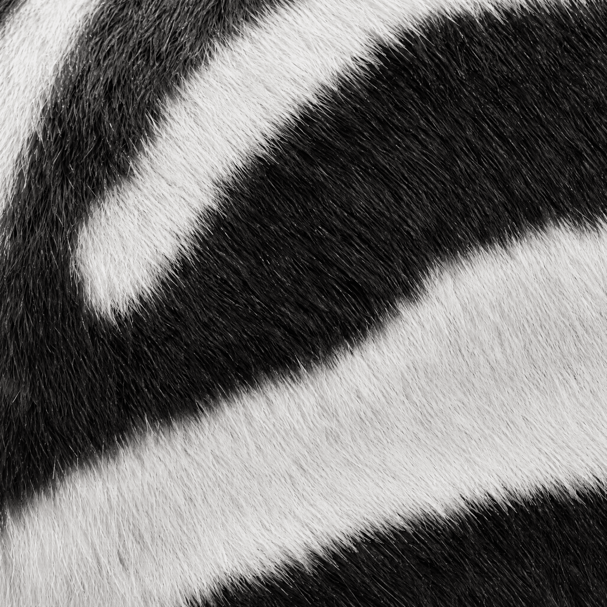 The Ziggy Laptop Case - KAEL HAUS
