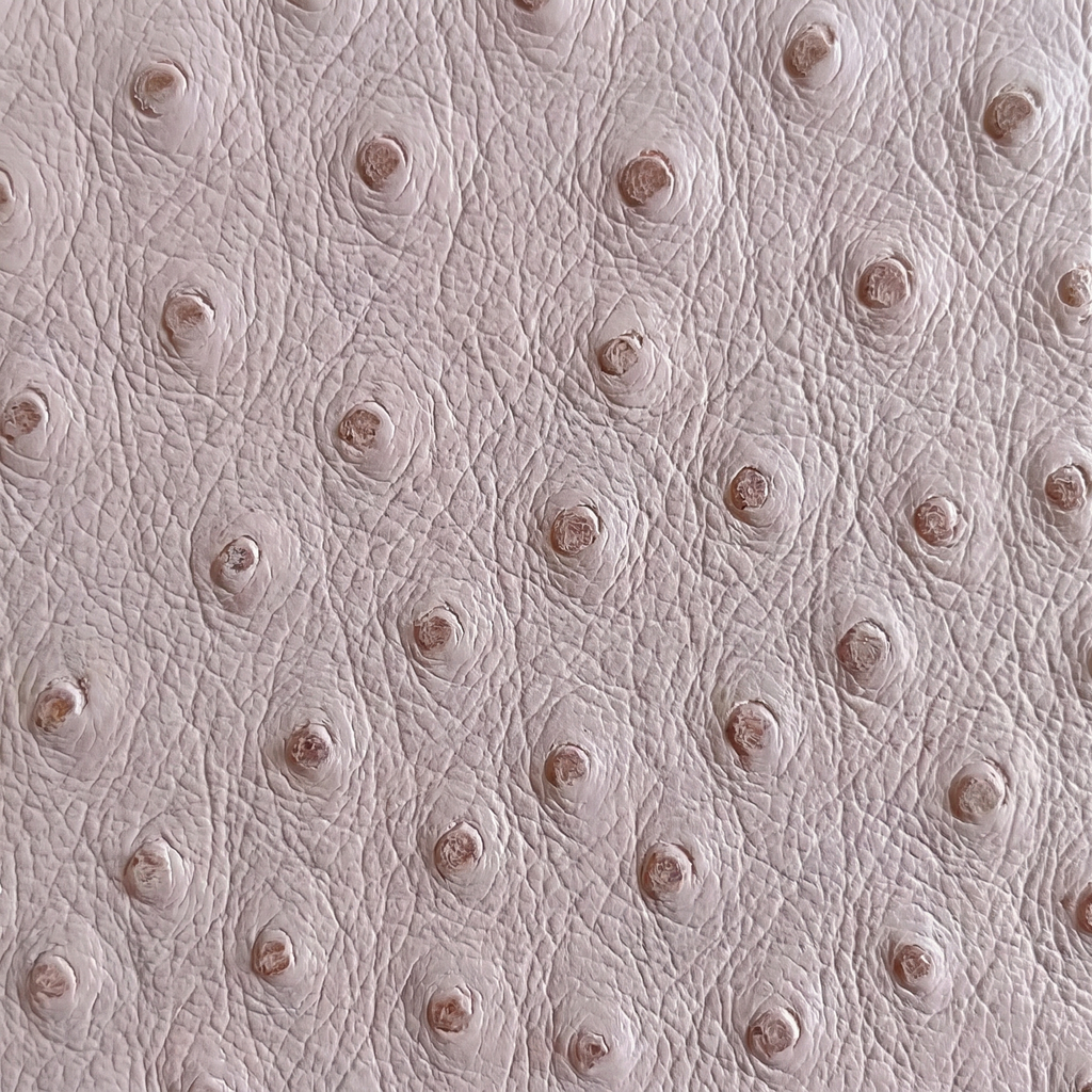 The Colette Laptop Case - champagne ostrich texture close-up